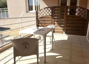 SAINT-FLORENT Studio PISCINE FLO300-146